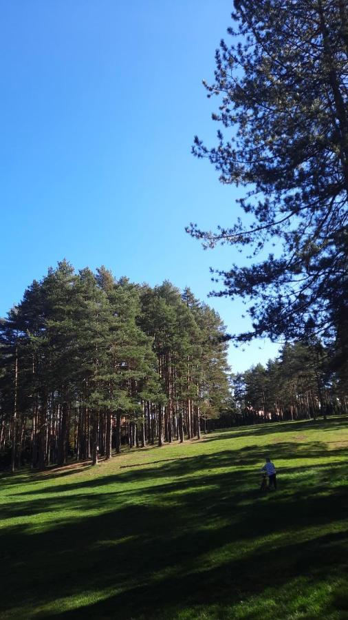 Apartmani Sloboda Zlatibor Exteriör bild